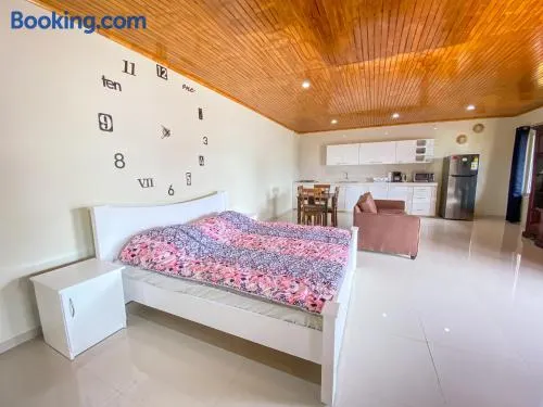 Studio Hermina - Image 1