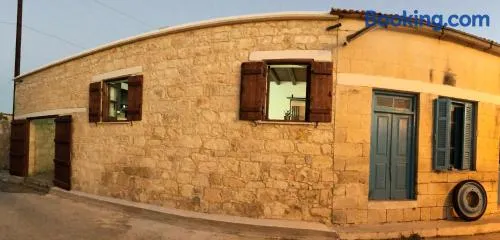 C-elena Suite - Image 1
