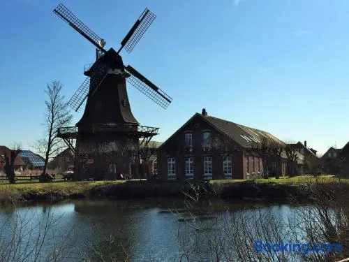 4-Juist - Image 1