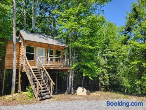 Treehouses at Lake Mountain Manor - Image 1