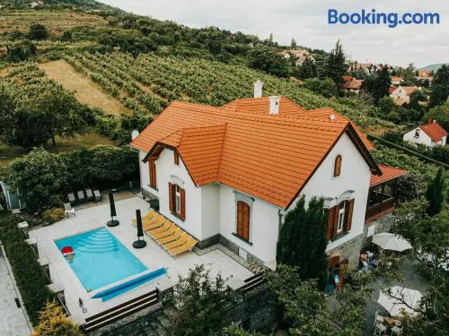 Badacsony Villa Ria - Image 1