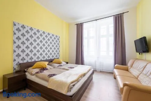 Spacious Apartment Děčín - Image 1