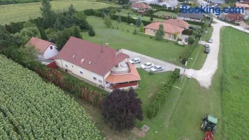 Vadvirág vendégház - Image 1
