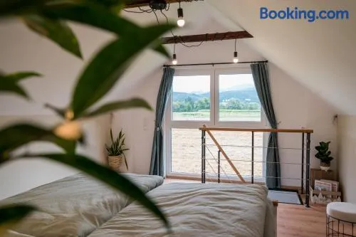 Tiny House Spielberg - Image 1