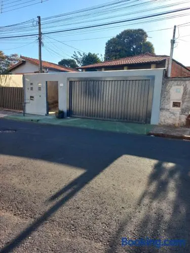 Cantar do passaro - Image 1