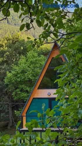 Forest house - ტყის სახლი - Image 1