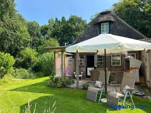 Kleines Reethaus Johannsen - mit geschmackvoller Einrichtung und tollem Garten - Image 1