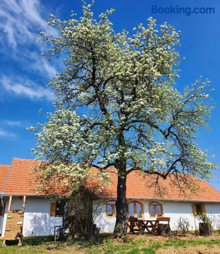 Familienfreundliches wunderschönes Ferienhaus mit Garten, Grill und Terrasse | Panoramablick | Hunde erlaubt - Image 1