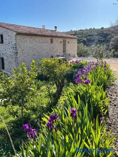 La Bastide des Crinieres Argentees - Image 1