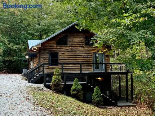 The Treehouse at the Rustic Retreat - Image 1