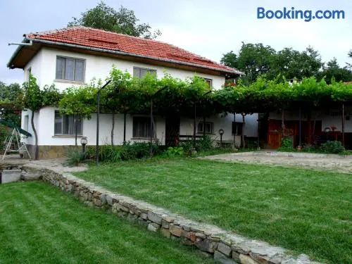 Holiday Home Life - Image 1