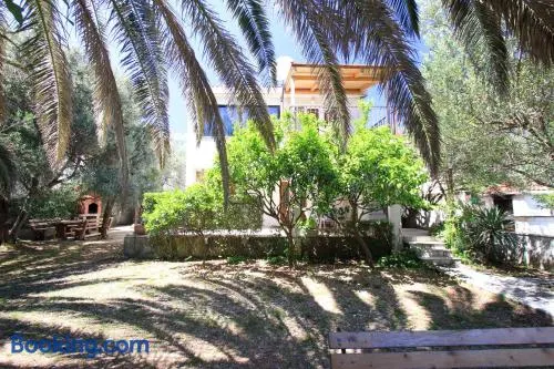 Apartments Dajana - Image 1