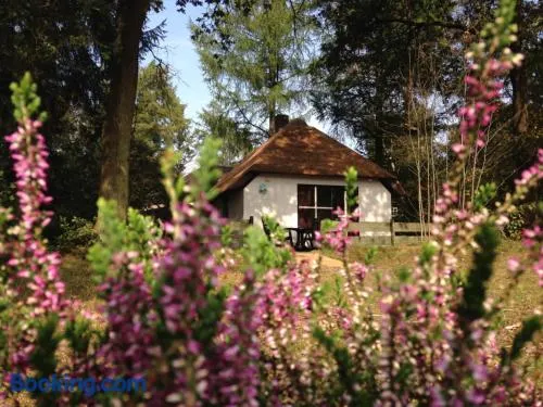 Tiny House de Berken - Image 1