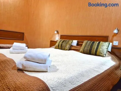 Hotel Pavo - Image 1