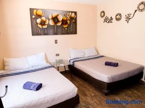 Cómoda y acogedora suite, Paseo Durango - Image 1