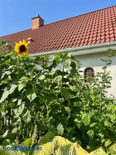 Langagergaard B&B - Thy - Image 1