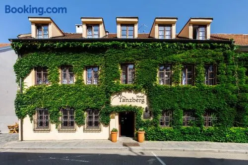Hotel Tanzberg Mikulov - Image 1