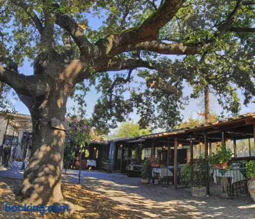 La Vecchia Quercia - Image 1