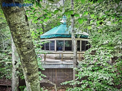 Escape to Tree House Island Life - Image 1