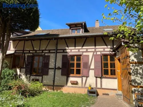 Petite maison SOUS LE TILLEUL - Image 1