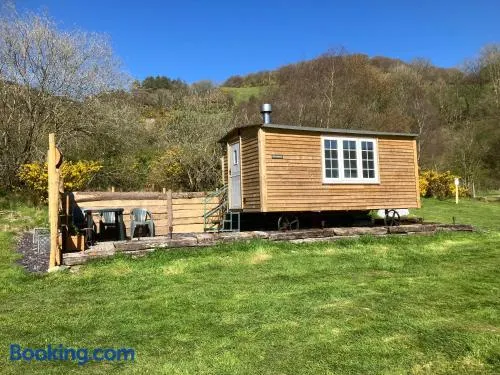 The Rheidol Shepherds Hut - Image 1