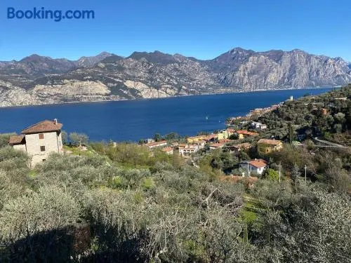 Olive Grove House - Image 1