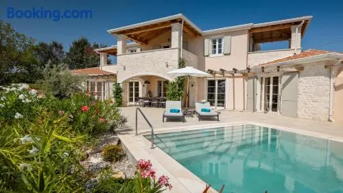 Family villa Rapavel with pool in Visnjan - Image 1