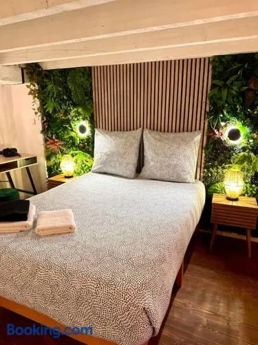 Jungle avec Jaccuzi au coeur de Nice - Image 1