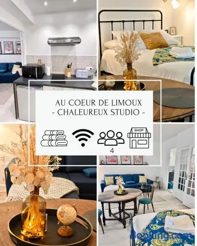 LE COSY - Studio 4 pers - wifi - centre ville - Image 1
