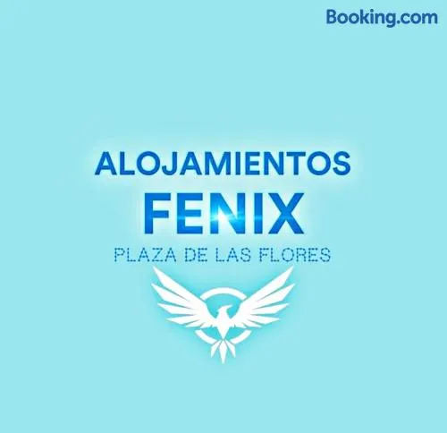 Alojamientos Fenix Murcia - Image 1