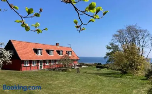 Wildernest Bornholm - Hjorten - Image 1
