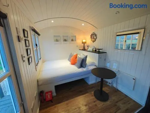 Luxury Countryside Shepherds Hut with Hot Tub - Image 1