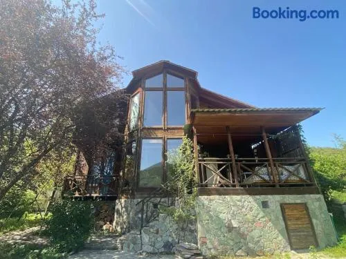 ❆cozy, 4 BR. Villa in Ananuri❆ - Image 1