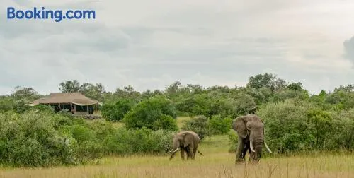 Mattikoko Safari Camp - Image 1