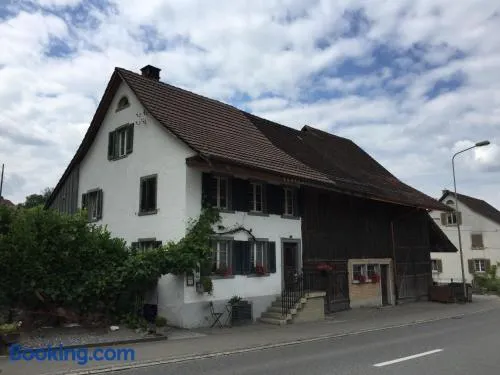 Airport Zürich Elwiras B & B - Image 1