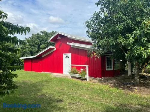 Tiny Farm Retreat Near Miami, Nature and Animal Experience - Image 1