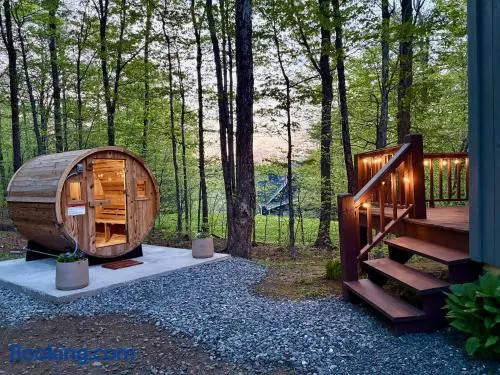 Mount Snow Summer Specials-Game Room, Barrel Sauna, Hot Tub, Fire Pit, Dogs Welcome! - Image 1