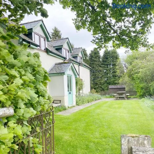 Llynhillyn Cottage - Image 1