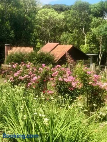 Chalé com Vista para Vinhedo e Natureza - Image 1