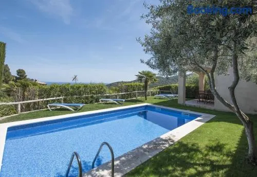 Flor Begur - Image 1