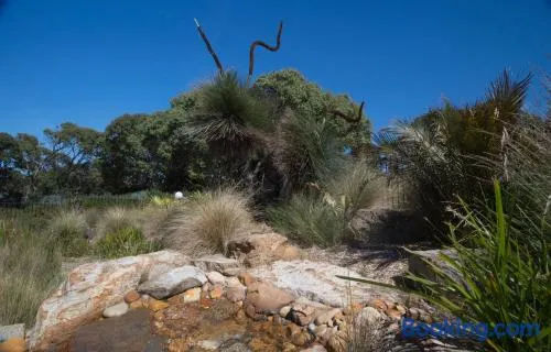 The Lakes Beachfront Holiday Park - Image 1