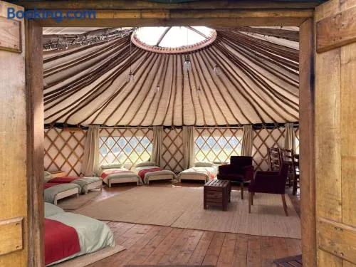 Redwood - the BIG yurt - Image 1