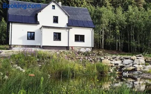 House by the water - Image 1