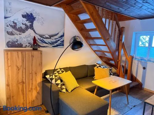 White Rabbit Apartment - Image 1