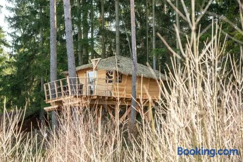 Treehouse U rybníka - Image 1