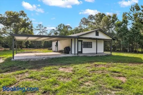 Updated 4 bedroom home in Oragnefield - Image 1