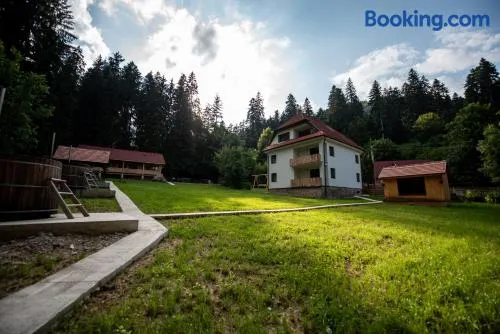 Forest Resort - Image 1