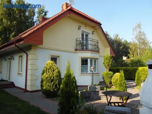 Rowy IV dół - Image 1