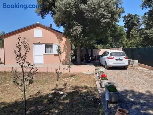 LAVE II cozy house - Image 1
