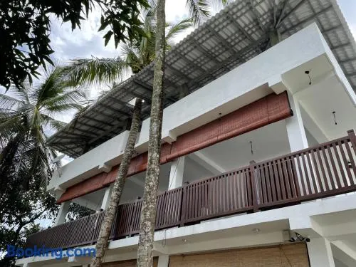 Villa Coconut Tree - Image 1